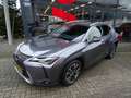 Lexus UX 250h Edition Hybrid automaat Grijs - thumbnail 4