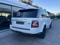 Land Rover Range Rover Sport Range Rover Sport 3.0 sdV6 HSE TAGLIANDI UFFICIALI Bianco - thumbnail 10