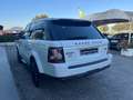 Land Rover Range Rover Sport Range Rover Sport 3.0 sdV6 HSE TAGLIANDI UFFICIALI Bianco - thumbnail 7