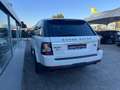 Land Rover Range Rover Sport Range Rover Sport 3.0 sdV6 HSE TAGLIANDI UFFICIALI Bianco - thumbnail 6