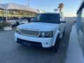 Land Rover Range Rover Sport Range Rover Sport 3.0 sdV6 HSE TAGLIANDI UFFICIALI Bianco - thumbnail 5