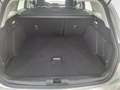 Ford Focus Traveller 1,5 EcoBlue Trend *3 Jahre Garantie Silber - thumbnail 21