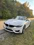 BMW M4 Cabrio DKG Competition Facelift ohne OPF - thumbnail 6