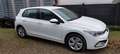 Volkswagen Golf Golf 1.0 TSI OPF Weiß - thumbnail 2