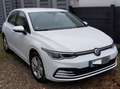 Volkswagen Golf Golf 1.0 TSI OPF Weiß - thumbnail 1