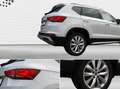 SEAT Ateca Xperience 1.5 TSI AHK*RFK*2025*LED*Navi*AC Weiß - thumbnail 23