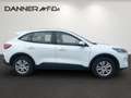 Ford Kuga 120PS Diesel/Automatik 2,0 EcoBlue AWD Cool & C... Weiß - thumbnail 3