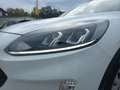 Ford Kuga 120PS Diesel/Automatik 2,0 EcoBlue AWD Cool & C... Weiß - thumbnail 7