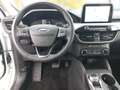 Ford Kuga 120PS Diesel/Automatik 2,0 EcoBlue AWD Cool & C... Weiß - thumbnail 13