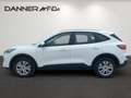 Ford Kuga 120PS Diesel/Automatik 2,0 EcoBlue AWD Cool & C... Weiß - thumbnail 4