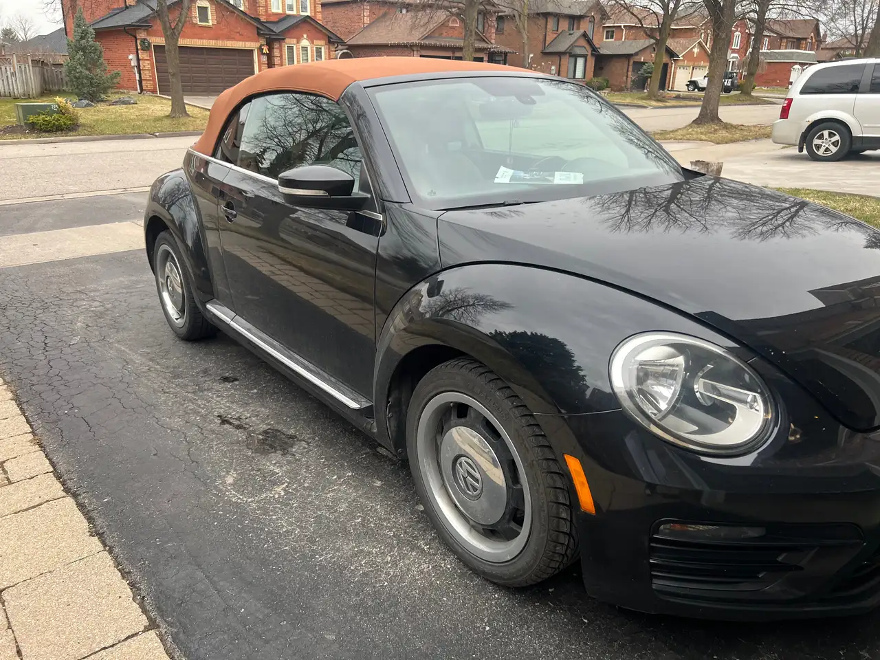 Volkswagen Beetle снимка Volkswagen Beetle