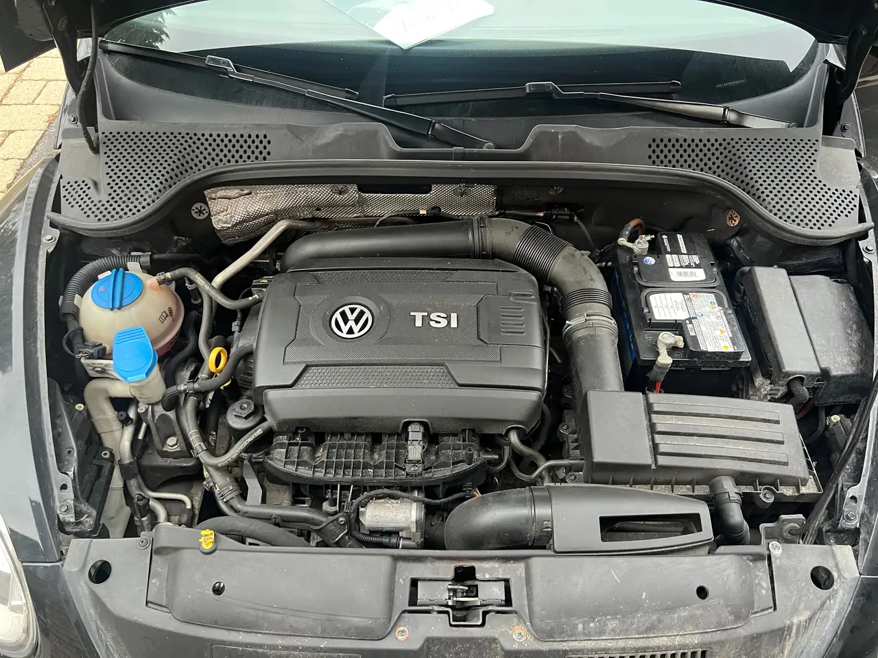Volkswagen Beetle снимка Volkswagen Beetle