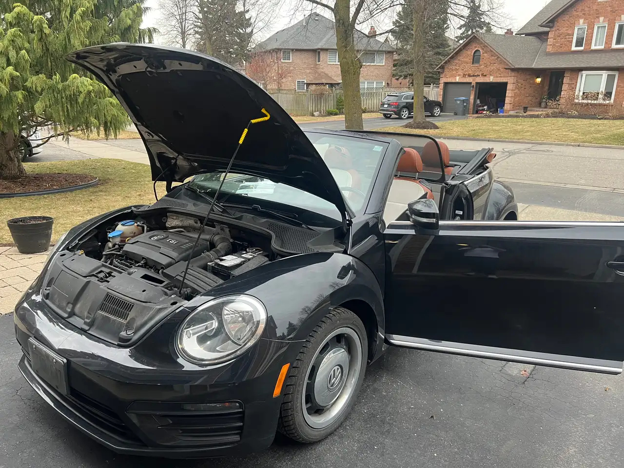 Volkswagen Beetle снимка Volkswagen Beetle