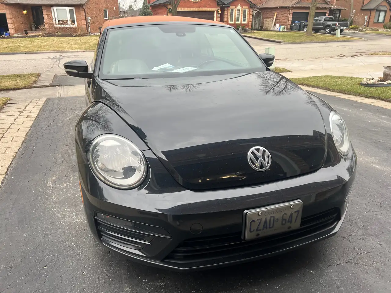 Volkswagen Beetle снимка Volkswagen Beetle