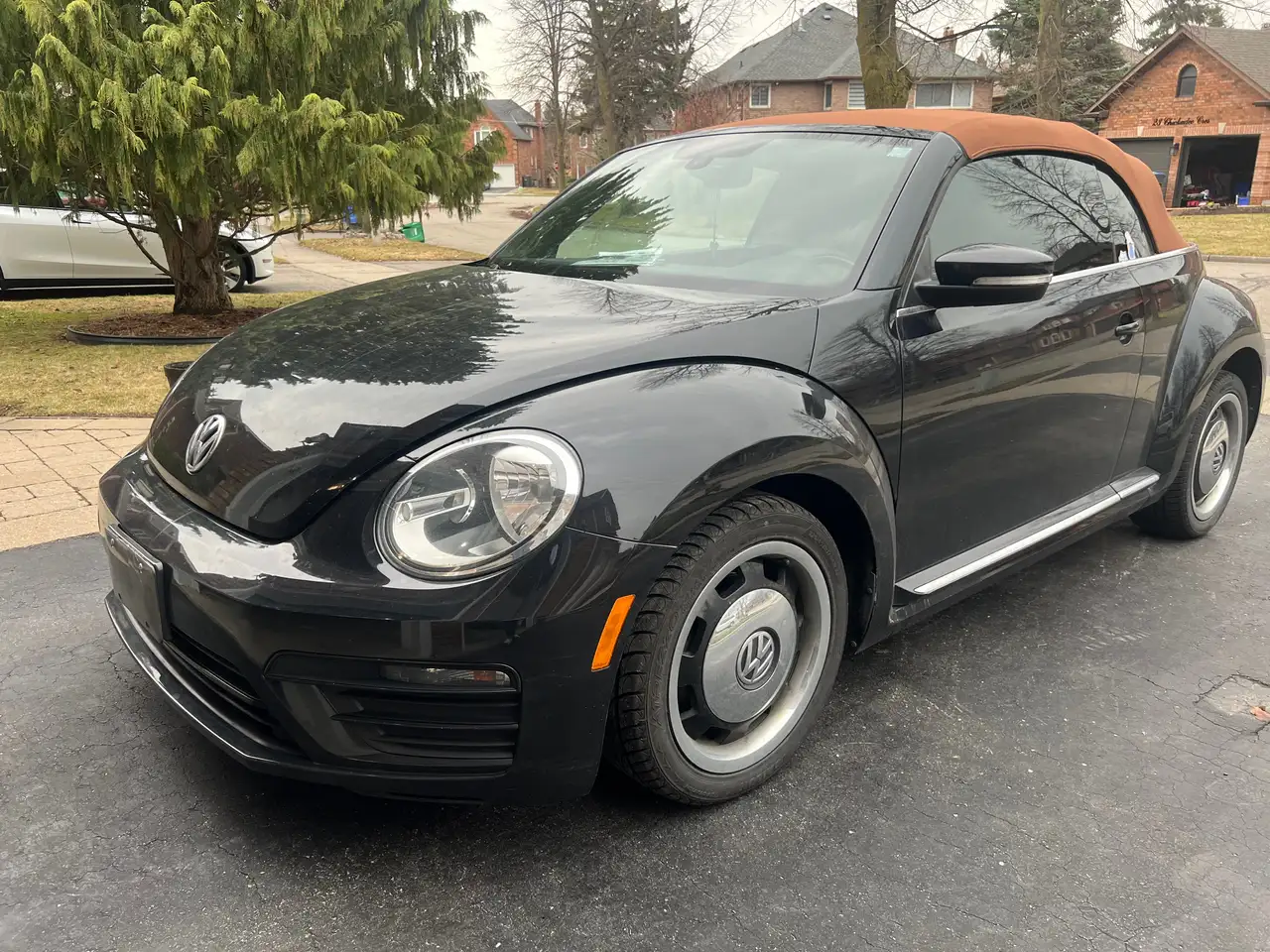 Volkswagen Beetle снимка Volkswagen Beetle