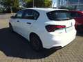 Fiat Tipo Tipo 1.5 GSE Hybrid mit Komfort Paket Weiß - thumbnail 10