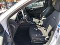 Ford Kuga 237 Kuga 2.5 Duratec FHEV Hybrid 4x4 Aut. Active Blanc - thumbnail 11