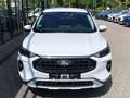 Ford Kuga 237 Kuga 2.5 Duratec FHEV Hybrid 4x4 Aut. Active Blanc - thumbnail 6