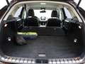 Lexus NX 300h AWD Luxury Line | Elektrisch verstelbare voorstoel Marrón - thumbnail 35
