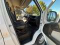 Peugeot Boxer L2H2 Pro BlueHDi 130, 1 Besitz, Klima, Weiß - thumbnail 17