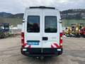 Iveco Daily 35s14 *Kasten+Lang*3.0 L Benzin/Erdgas CNG Wit - thumbnail 7