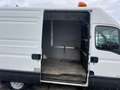 Iveco Daily 35s14 *Kasten+Lang*3.0 L Benzin/Erdgas CNG White - thumbnail 5