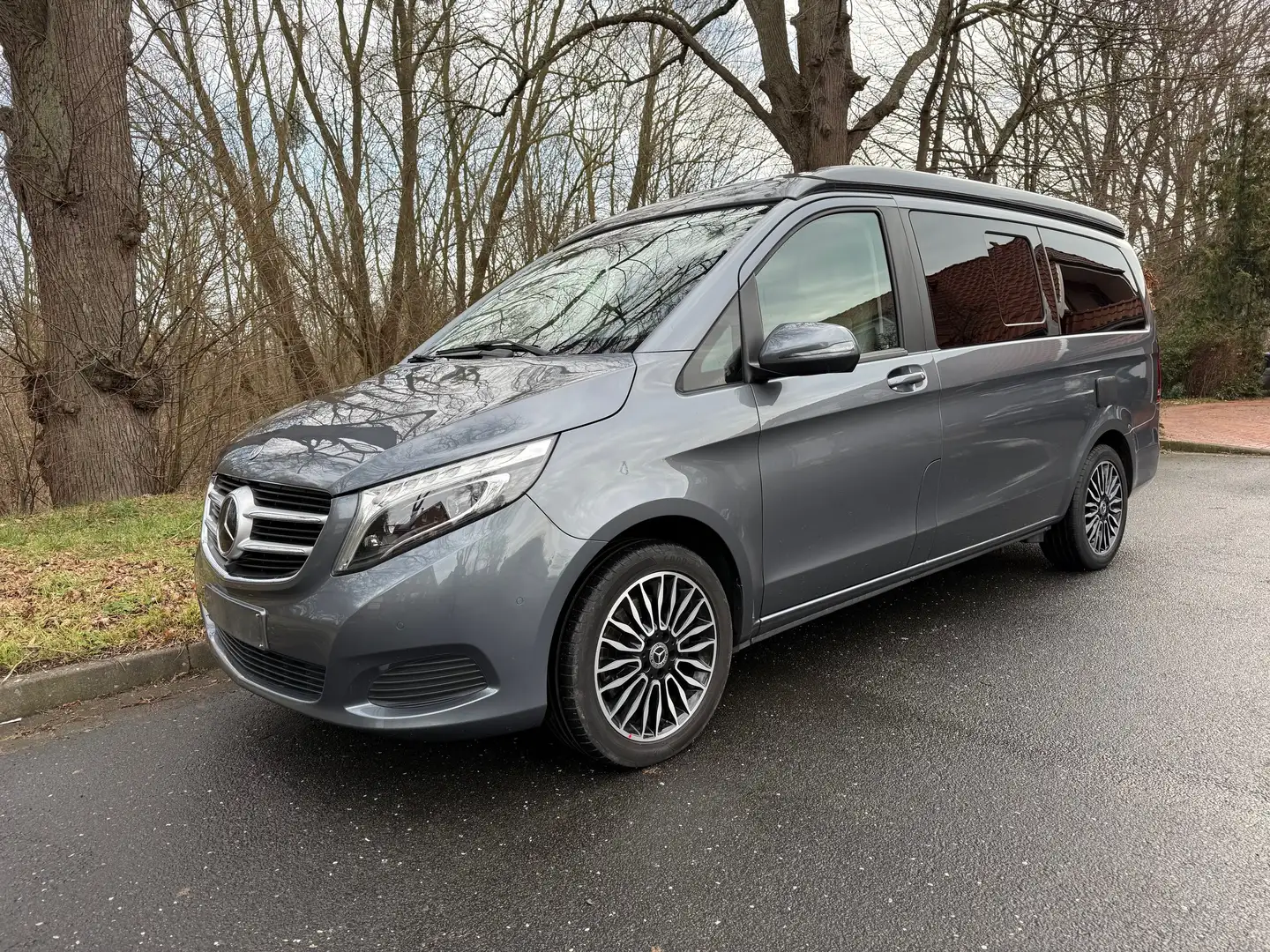 Mercedes-Benz Marco Polo Marco Polo 250 d 4MATIC EDITION Silver - 2
