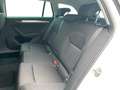 Skoda Superb Combi Ambition 2,0 TDI DSG Navi+GRA+LED Weiß - thumbnail 9