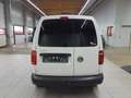 Volkswagen Caddy 1.0 TSI AHK PDC Weiß - thumbnail 5