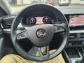 Skoda Scala 1.5 TSI Drive 125 *Kamera*SHZ*LED*ACC* Bianco - thumbnail 16