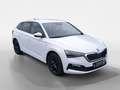 Skoda Scala 1.5 TSI Drive 125 *Kamera*SHZ*LED*ACC* Bianco - thumbnail 7
