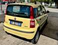 Fiat Panda Panda 1.2 Active natural power Giallo - thumbnail 5