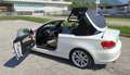 BMW 120 i E88 Cabrio Futura Bianco - thumbnail 9