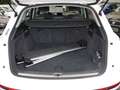 Audi Q5 40 TDI quattro NAVI GRA Xenon Seitenairbag hinten Weiß - thumbnail 12