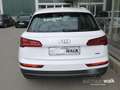 Audi Q5 40 TDI quattro NAVI GRA Xenon Seitenairbag hinten Weiß - thumbnail 5
