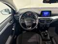 Ford Focus Traveller 1,5 EcoBlue Cool & Connect Weiß - thumbnail 12