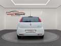 Fiat Grande Punto GRANDE PUNTO 1.2 8V KLIMA TÜV+SERVICE NEU TOP Weiß - thumbnail 5