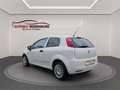 Fiat Grande Punto GRANDE PUNTO 1.2 8V KLIMA TÜV+SERVICE NEU TOP Weiß - thumbnail 6
