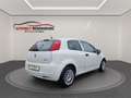 Fiat Grande Punto GRANDE PUNTO 1.2 8V KLIMA TÜV+SERVICE NEU TOP Weiß - thumbnail 4