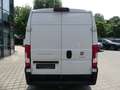 Fiat Ducato Kasten 35 L4H2 SCHRÄNKE/NAVI/KAMERA/AHK Weiß - thumbnail 18
