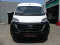 Fiat Ducato Kasten 35 L4H2 SCHRÄNKE/NAVI/KAMERA/AHK Weiß - thumbnail 20
