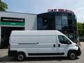 Fiat Ducato Kasten 35 L4H2 SCHRÄNKE/NAVI/KAMERA/AHK Weiß - thumbnail 14
