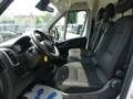 Fiat Ducato Kasten 35 L4H2 SCHRÄNKE/NAVI/KAMERA/AHK Weiß - thumbnail 4