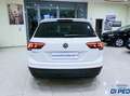Volkswagen Tiguan Tiguan 2.0 tdi Business 150cv dsg Wit - thumbnail 4