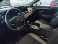 Lexus ES 300 300h Business MY25 Schwarz - thumbnail 15