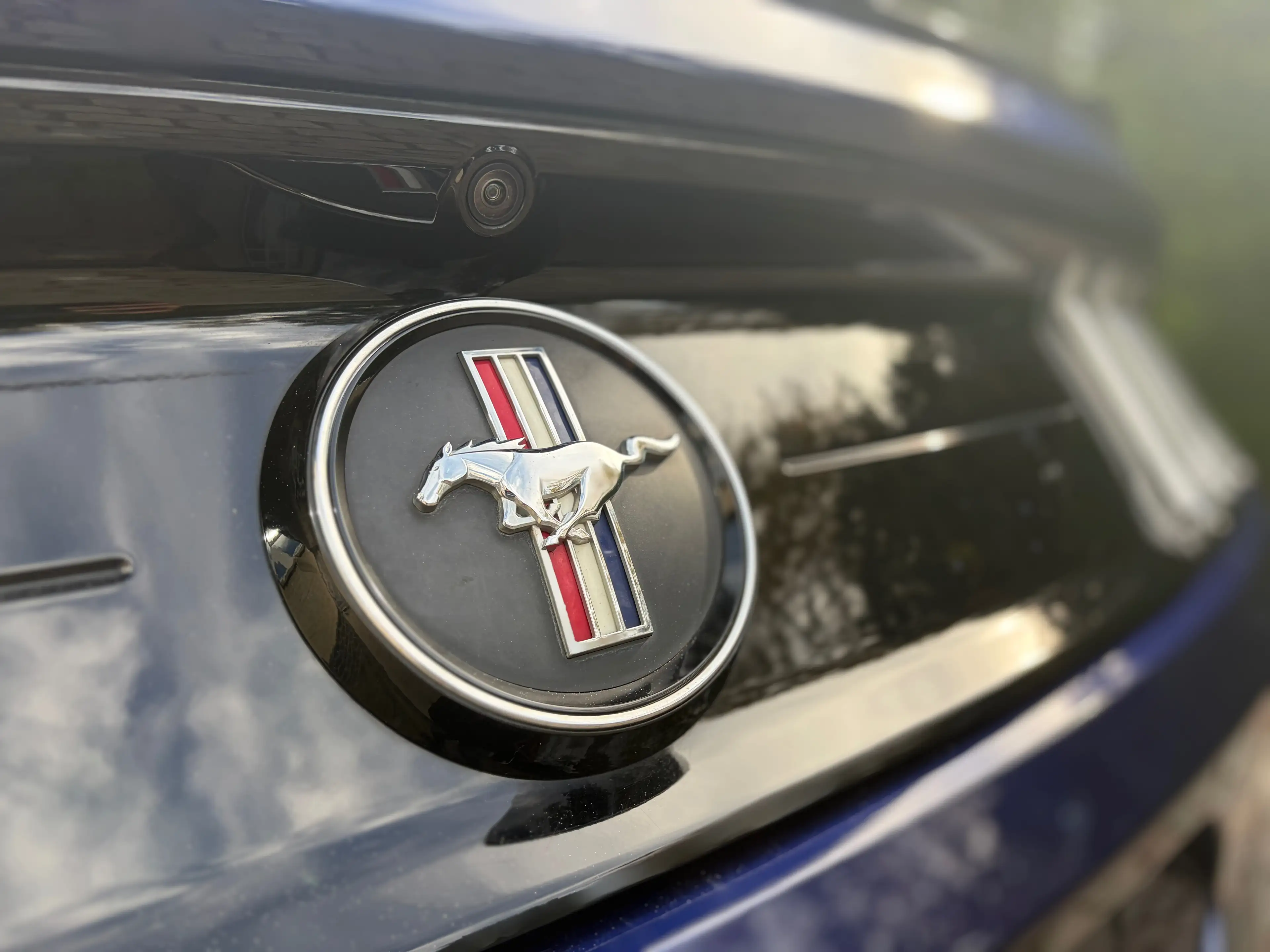 Ford Mustang 2.3 EcoBoost Fifty Five Years ### 40000 km ### — photo 9