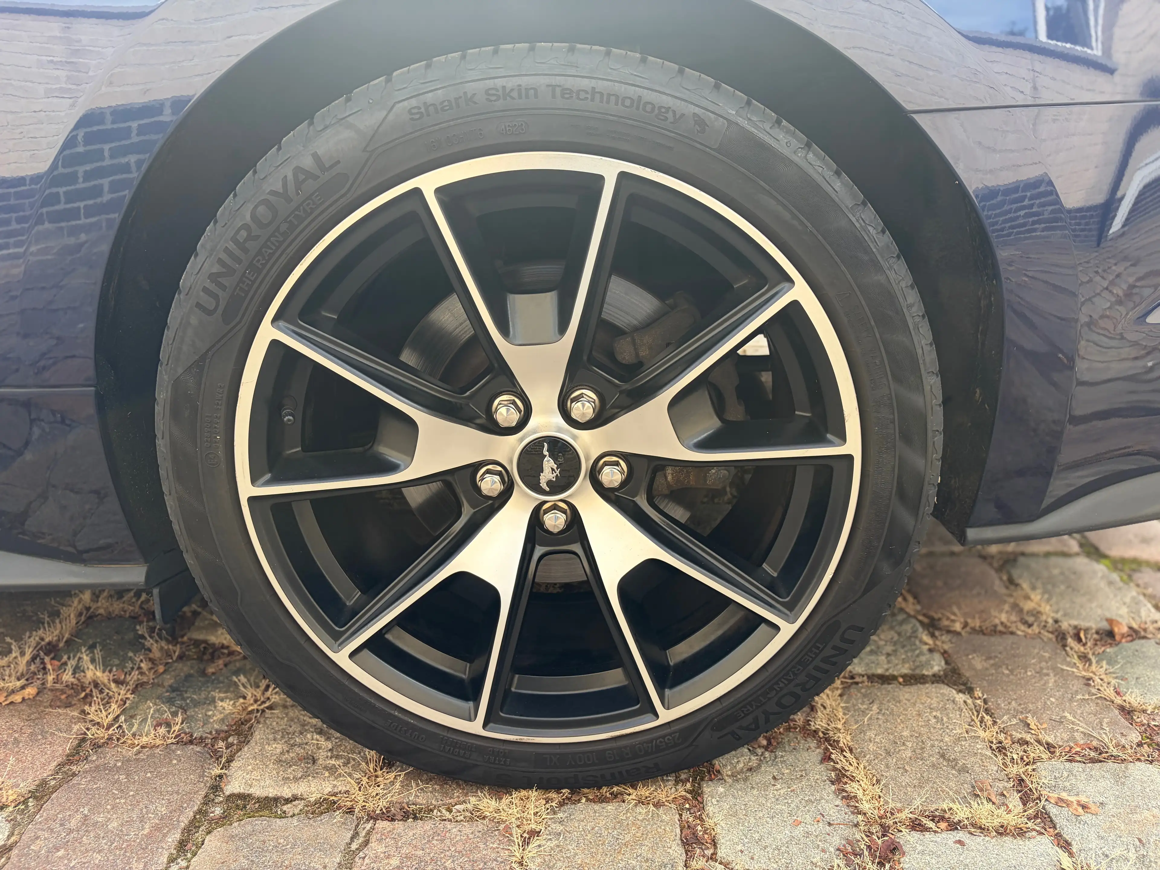 Ford Mustang 2.3 EcoBoost Fifty Five Years ### 40000 km ### — photo 7