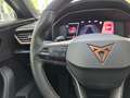 CUPRA Formentor 4Drive Pano Beats-Sound Standheizung Noir - thumbnail 24