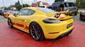 Porsche Cayman GT4 4.0 Xen/Alcantara/KLAPPENAUSPUFF Jaune - thumbnail 5