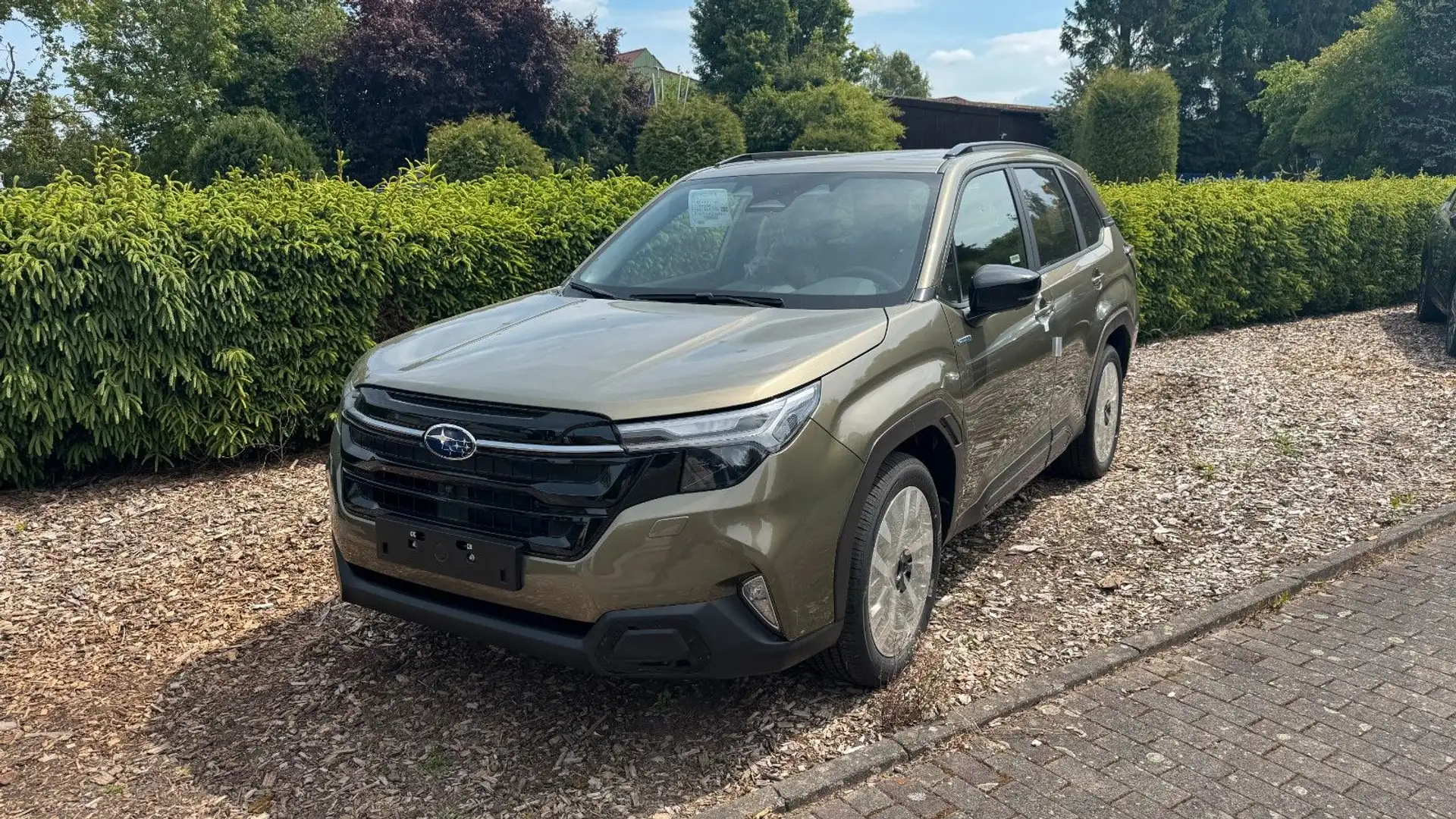 Subaru Forester 2.0ie Platinum Lineartronic*Mod.2025* Verde - 1